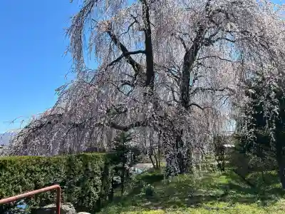 安養寺(長野県)