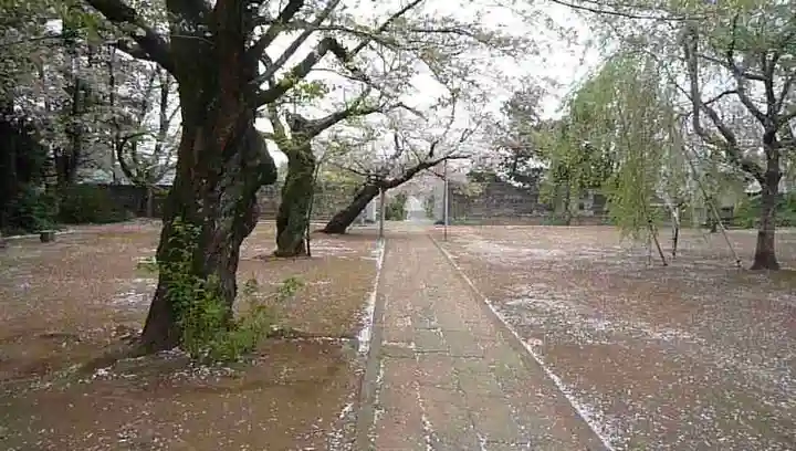 弘経寺のその他建物