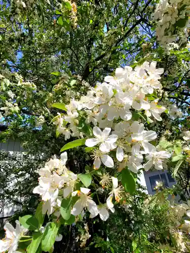 隠津島神社(福島県)