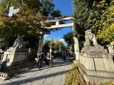 秩父神社の鳥居
