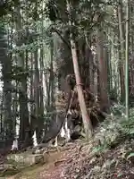 住吉神社のその他建物