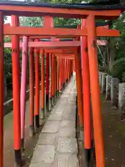 根津神社の鳥居