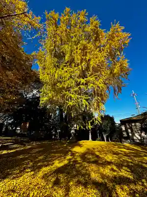 三栖神社(京都府)