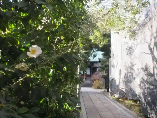 遍照寺(神奈川県)