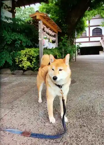 感通寺(東京都)