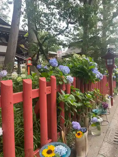 川越八幡宮(埼玉県)