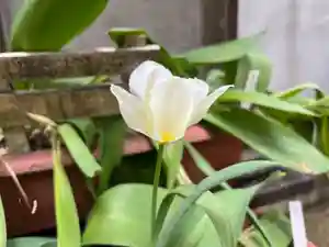 大宮温泉神社(栃木県)(2023年04月13日(木) 08時09分54秒投稿)