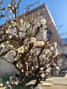 福王山 慈眼寺(東京都)(2025年02月06日(木) 11時00分49秒投稿)