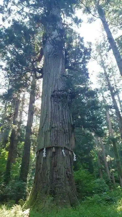 出羽神社(出羽三山神社)~三神合祭殿~(山形県)