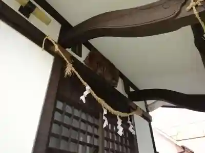帳附神社の本殿・本堂