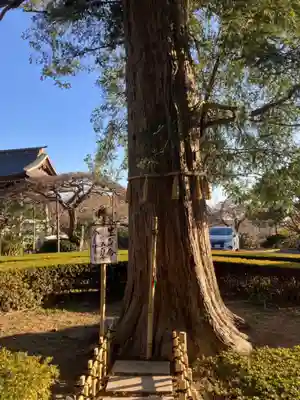 西光寺(神奈川県)