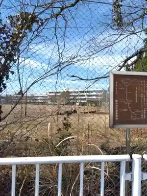 今宿八坂神社(埼玉県)
