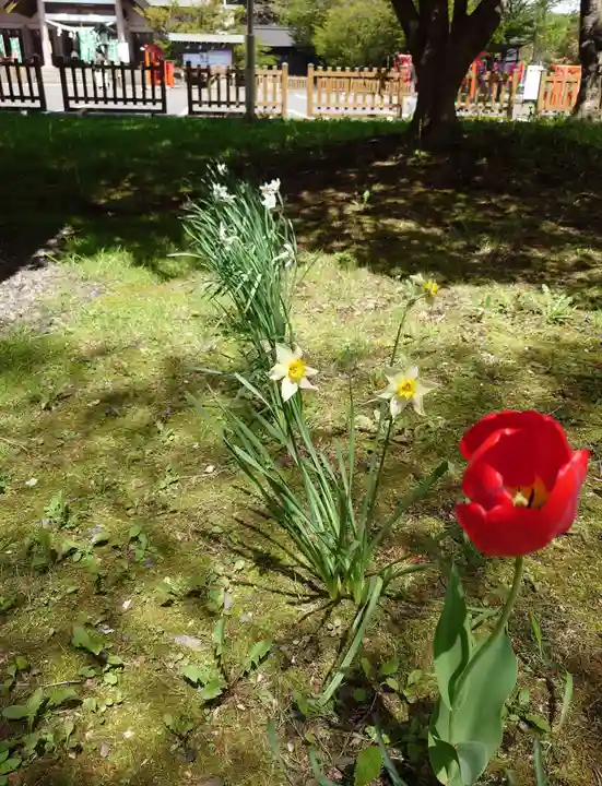 中嶋神社の自然