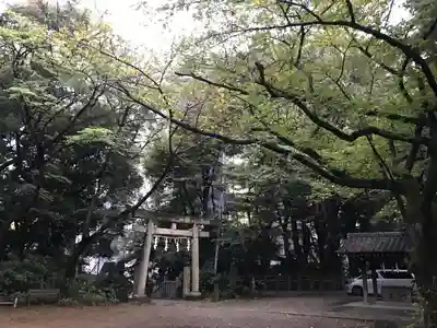 西久保八幡神社の鳥居