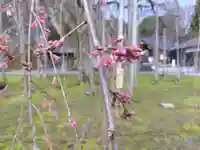 足羽神社(福井県)