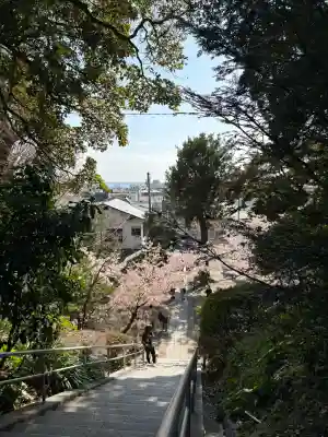 甘縄神明神社（甘縄神明宮）の{uncategorized: "未分類", other: "その他", undefined: "問題あり", building: "その他建物", grave: "お墓", sacred_gate: "鳥居", guardian: "狛犬", statue: "像", buddha: "仏像", history: "歴史", nature: "自然", garden: "庭園", animal: "動物", pagoda: "塔", temizu: "手水舎", mountain_gate: "山門・神門", sanctuary: "本殿・本堂", subordinate: "末社・摂社", art: "芸術", scenery: "景色", jizo: "地蔵", ema: "絵馬", goshuin: "御朱印", omikuji: "おみくじ", items: "授与品その他", amulet: "お守り", goshuincho: "御朱印帳", eats: "食事", festival: "お祭り", votive_dance: "神楽", shichigosan: "七五三参", wedding: "結婚式", experience: "体験その他", initially: "初詣", around: "周辺", anti_infection: "感染症対策"}