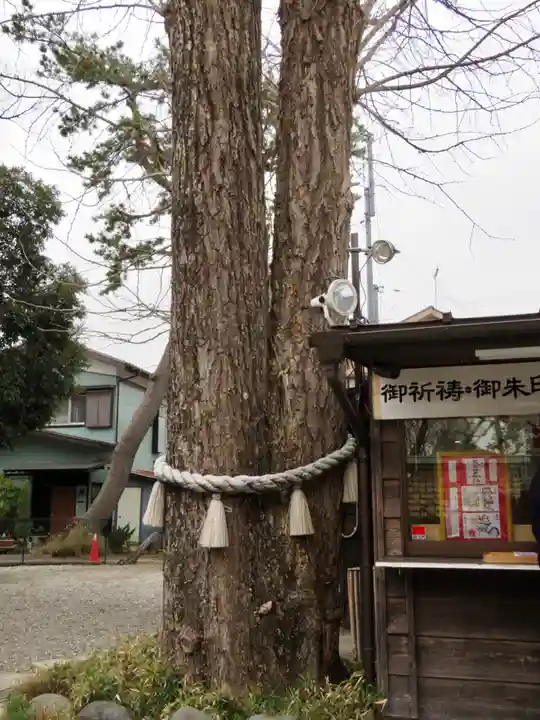 菊田神社の自然