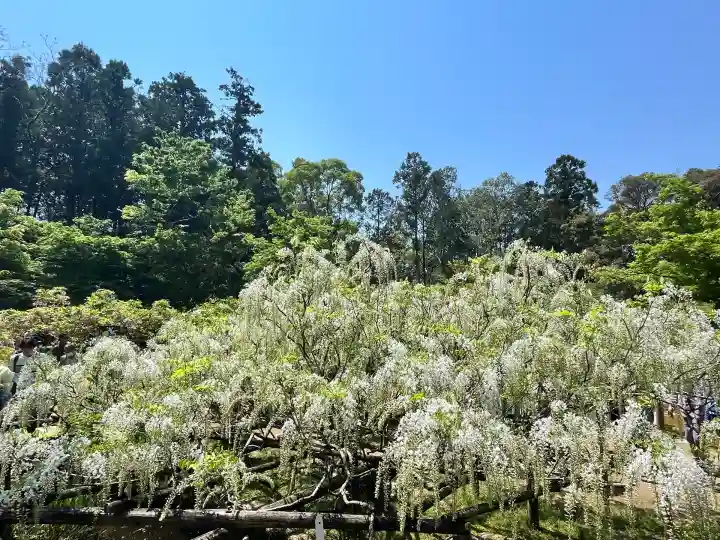 歌泉堂(春日大社神苑萬葉植物園内鎮座)(奈良県)