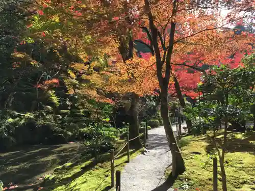 金剛輪寺の庭園