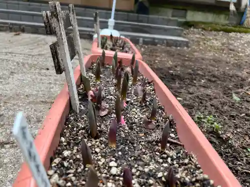 大宮温泉神社の自然