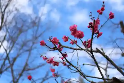 妙楽寺(神奈川県)
