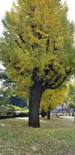 伏見三寳稲荷神社の自然
