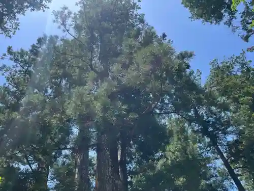 伊勢神宮内宮（皇大神宮）(三重県)