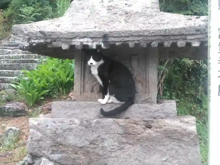 富貴寺の動物