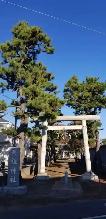 神明天祖神社の鳥居