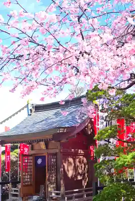 密藏院(埼玉県)