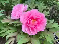 多聞院(埼玉県)