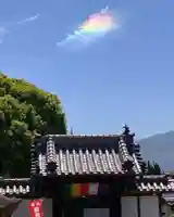真言宗 善通寺派 薬王寺(香川県)