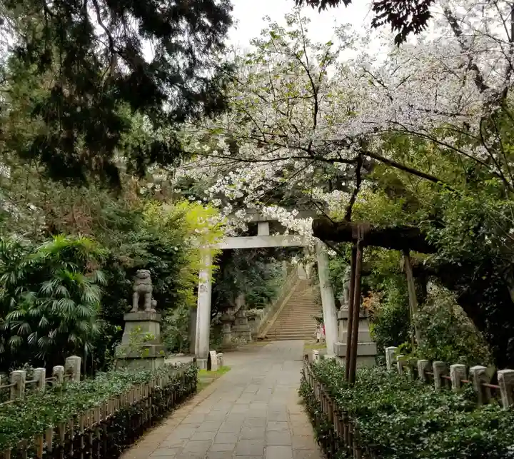 赤坂氷川神社の鳥居