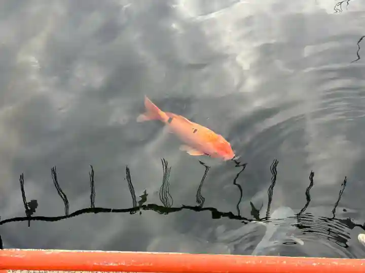 息栖神社(茨城県)