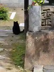 聖隣寺(京都府)