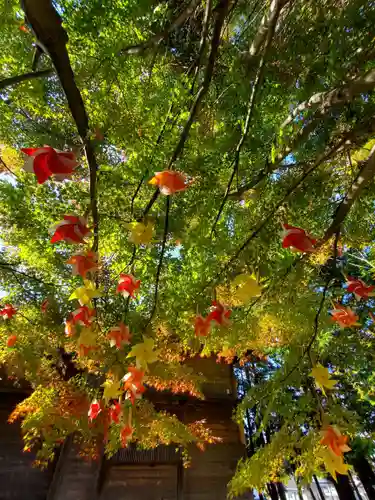 滑川神社 - 仕事と子どもの守り神の景色