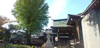 菊田神社の本殿・本堂