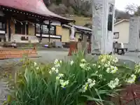 伊勢原 法泉寺の自然