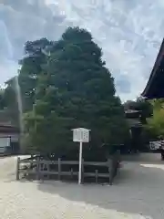 賀茂御祖神社（下鴨神社）の建物その他