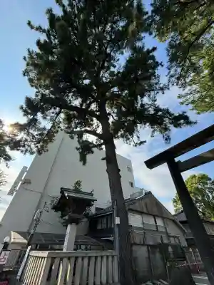 安久美神戸神明社(愛知県)
