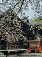 熊野神社の本殿・本堂