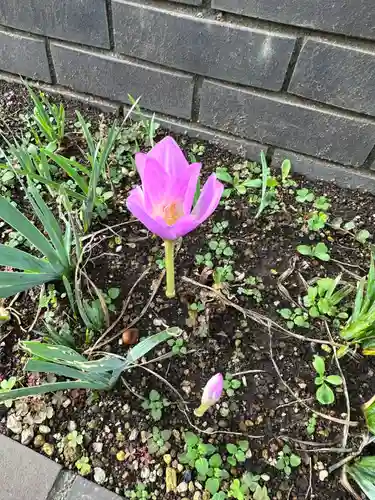 札幌諏訪神社の自然