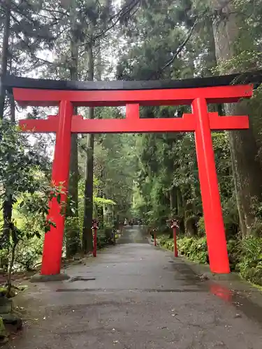 箱根神社の鳥居