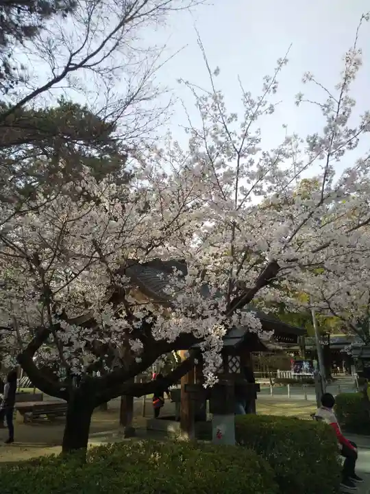 武田神社の庭園