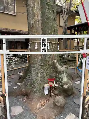 小芝八幡宮(静岡県)