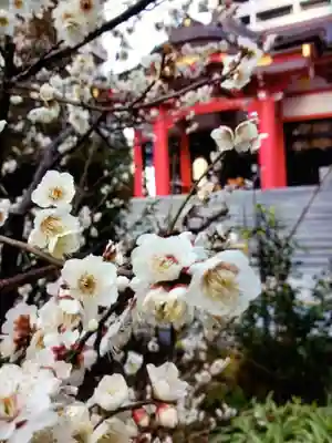 成子天神社(東京都)