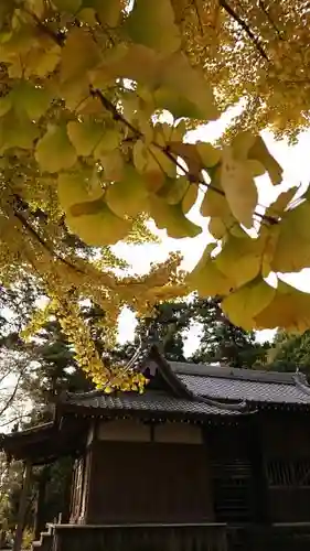 三柱神社(駒場町)の本殿