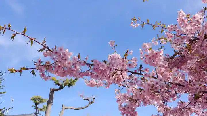 車折神社の自然