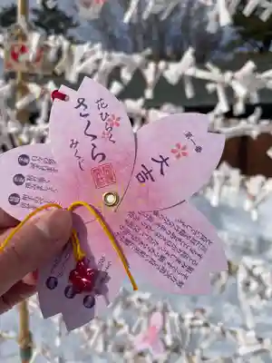 札幌護國神社のおみくじ