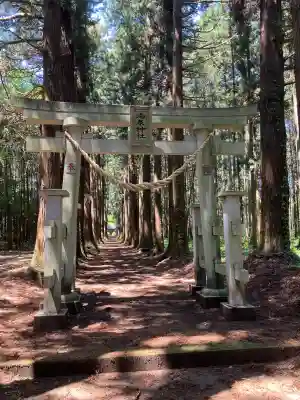 温泉神社(実取)の鳥居